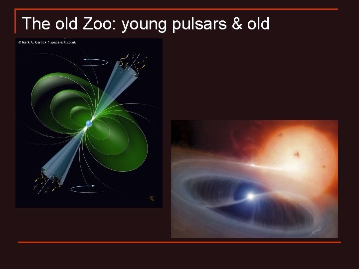 The old Zoo: young pulsars & old accretors 