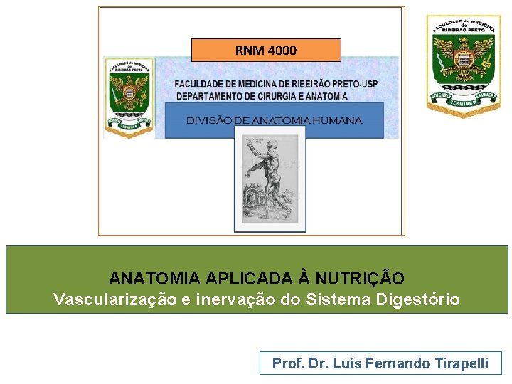 RNM 4000 ANATOMIA APLICADA À NUTRIÇÃO Vascularização e inervação do Sistema Digestório Prof. Dr.