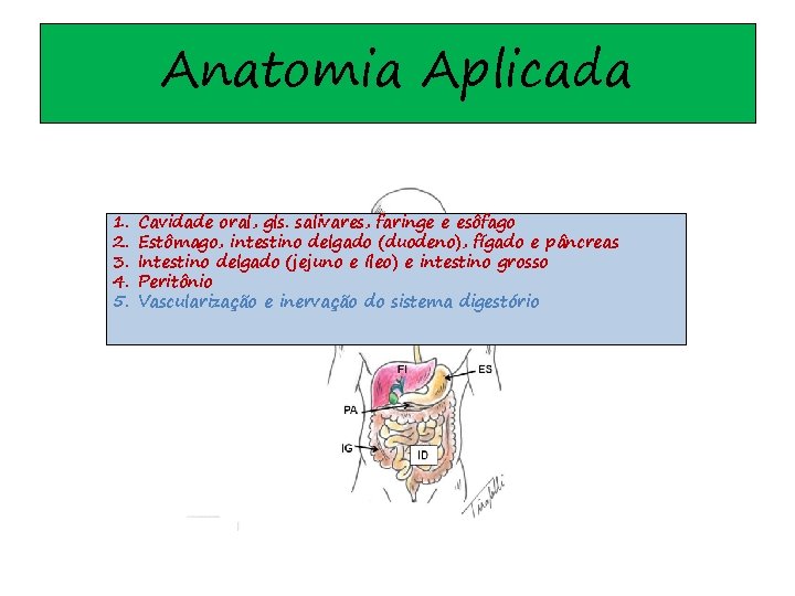 Anatomia Aplicada 1. 2. 3. 4. 5. Cavidade oral, gls. salivares, faringe e esôfago