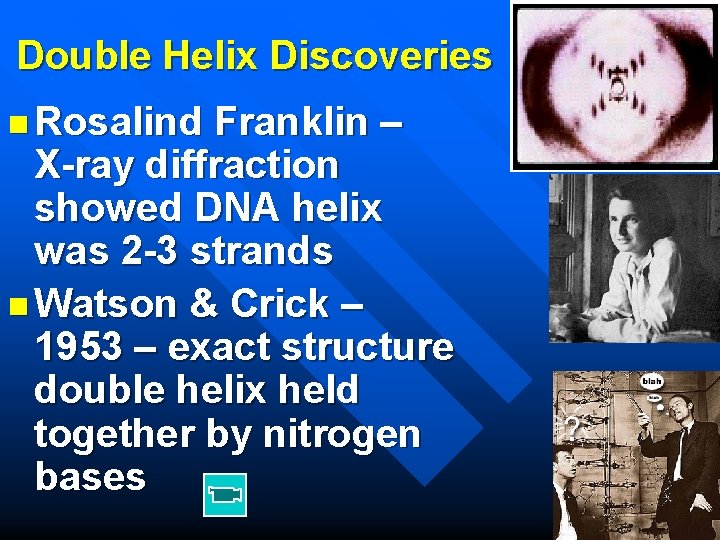 Double Helix Discoveries n Rosalind Franklin – X-ray diffraction showed DNA helix was 2