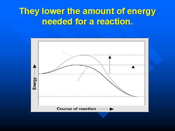 They lower the amount of energy needed for a reaction. Reaction pathway without enzyme