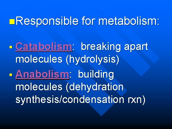 n. Responsible for metabolism: Catabolism: breaking apart molecules (hydrolysis) § Anabolism: building molecules (dehydration