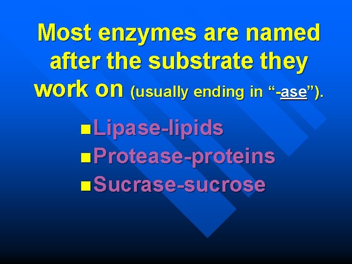 Most enzymes are named after the substrate they work on (usually ending in “-ase”).