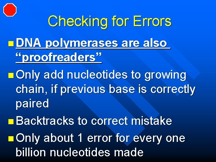 Checking for Errors n DNA polymerases are also “proofreaders” n Only add nucleotides to