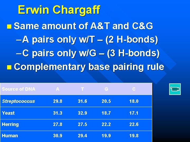 Erwin Chargaff n Same amount of A&T and C&G – A pairs only w/T