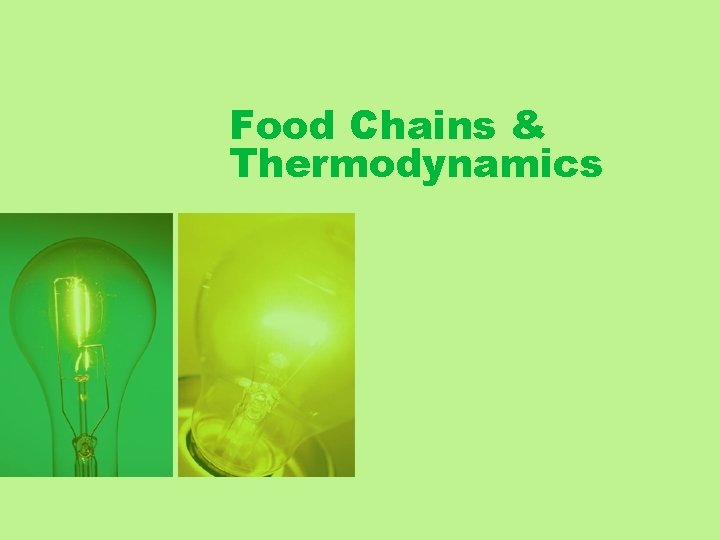 Food Chains & Thermodynamics 