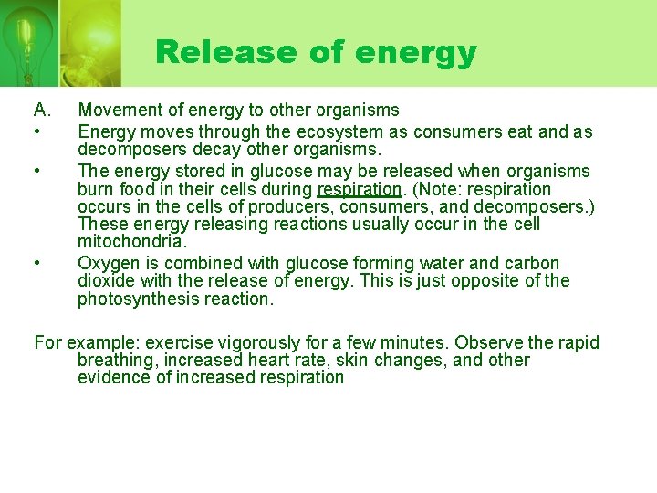 Release of energy A. • • • Movement of energy to other organisms Energy