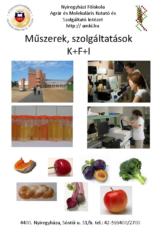 Nyíregyházi Főiskola Agrár és Molekuláris Kutató és Szolgáltató Intézet http: // amki. hu Műszerek,