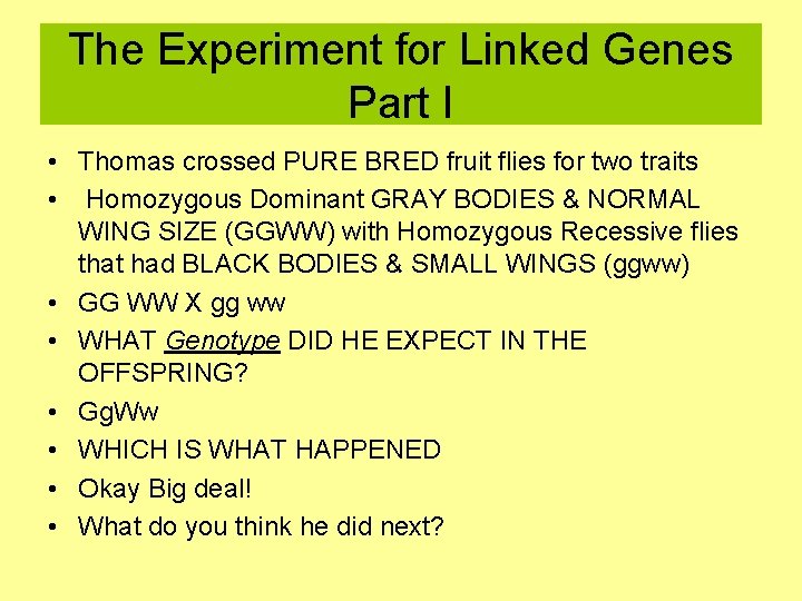 The Experiment for Linked Genes Part I • Thomas crossed PURE BRED fruit flies