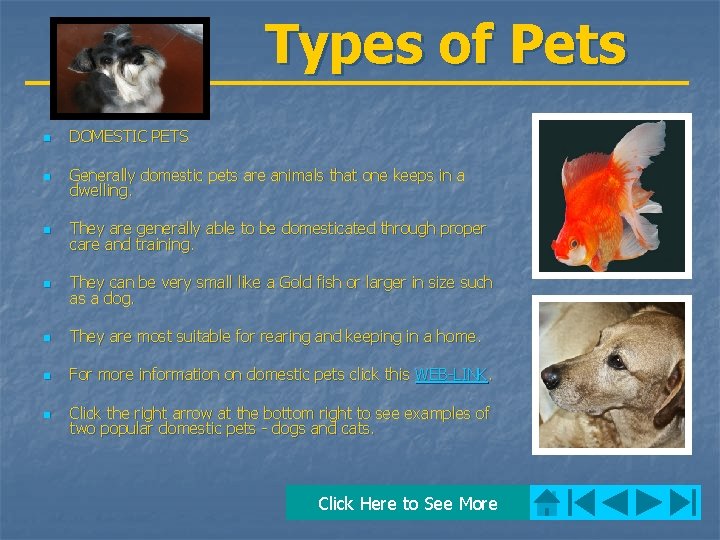 Types of Pets n DOMESTIC PETS n Generally domestic pets are animals that one