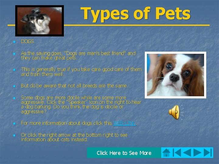 Types of Pets n DOGS n As the saying goes, "Dogs are man's best