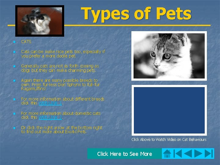 Types of Pets n CATS n Cats can be make nice pets too, especially