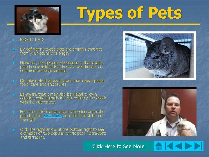 Types of Pets n EXOTIC PETS n By definition, exotic pets are animals that