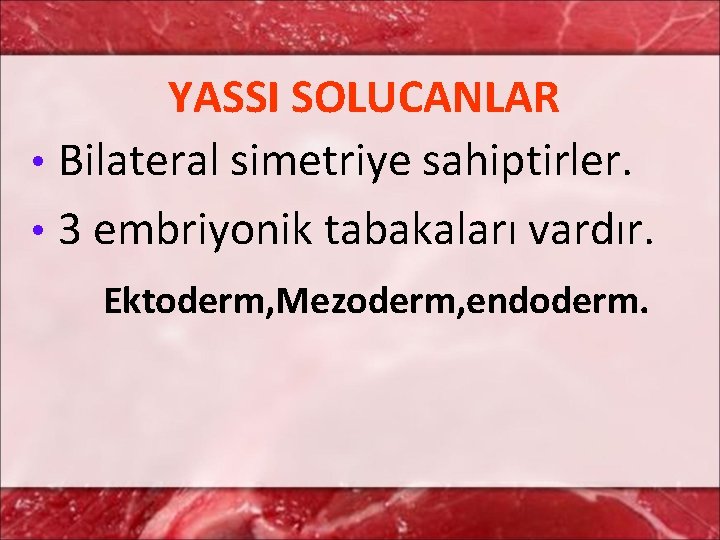 YASSI SOLUCANLAR • Bilateral simetriye sahiptirler. • 3 embriyonik tabakaları vardır. Ektoderm, Mezoderm, endoderm.
