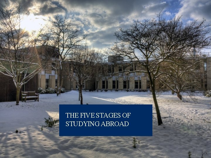 THE FIVE STAGES OF STUDYING ABROAD 