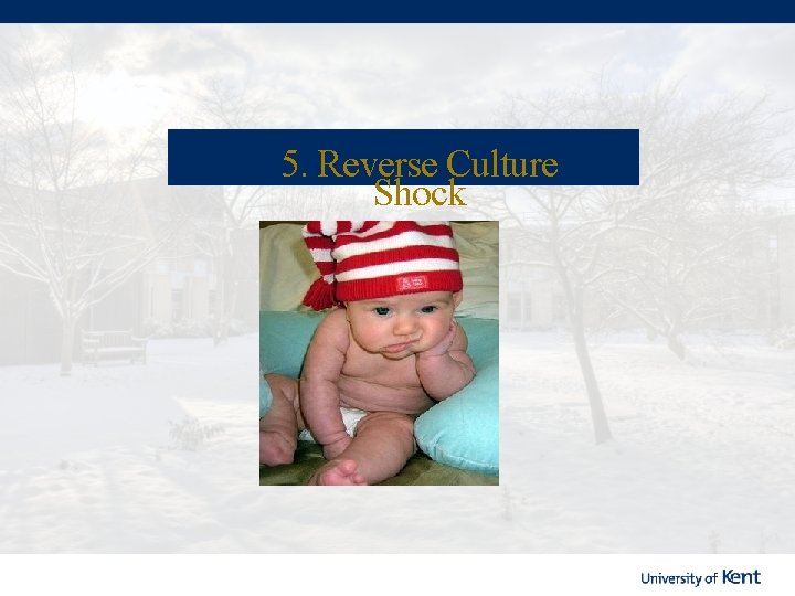 5. Reverse Culture Shock 