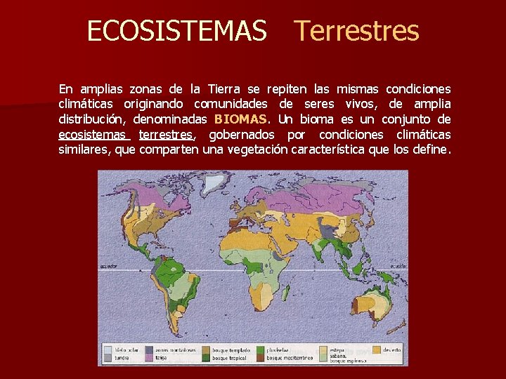 ECOSISTEMAS Terrestres En amplias zonas de la Tierra se repiten las mismas condiciones climáticas