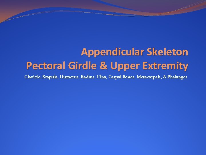 Appendicular Skeleton Pectoral Girdle & Upper Extremity Clavicle, Scapula, Humerus, Radius, Ulna, Carpal Bones,