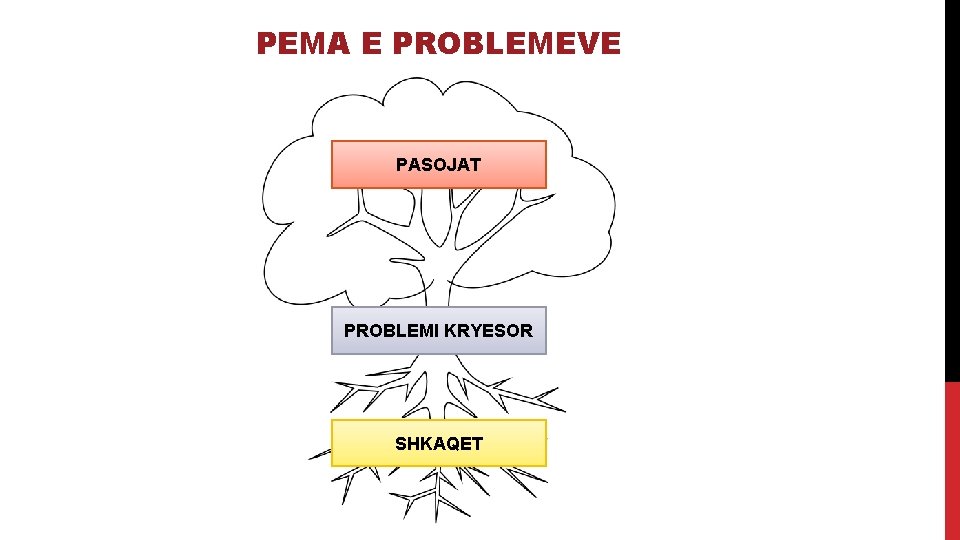 PEMA E PROBLEMEVE PASOJAT PROBLEMI KRYESOR SHKAQET 