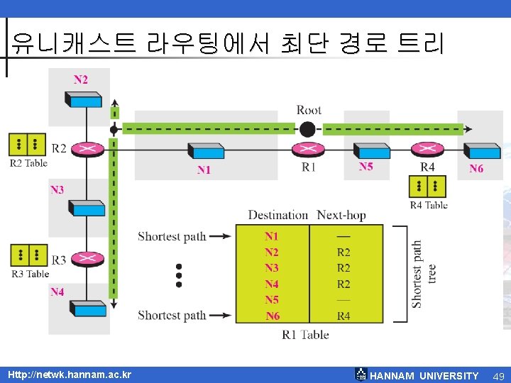 유니캐스트 라우팅에서 최단 경로 트리 Http: //netwk. hannam. ac. kr HANNAM UNIVERSITY 49 