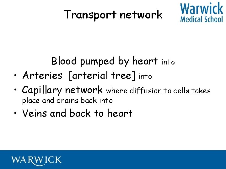 Transport network Blood pumped by heart into • Arteries [arterial tree] into • Capillary