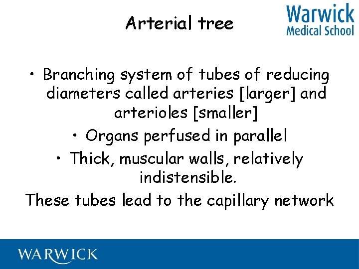 Arterial tree • Branching system of tubes of reducing diameters called arteries [larger] and