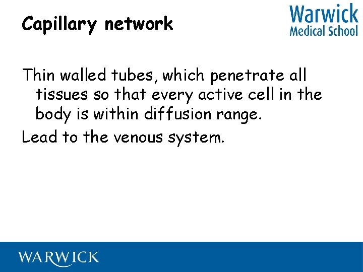 Capillary network Thin walled tubes, which penetrate all tissues so that every active cell