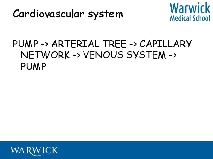 Cardiovascular system PUMP -> ARTERIAL TREE -> CAPILLARY NETWORK -> VENOUS SYSTEM -> PUMP