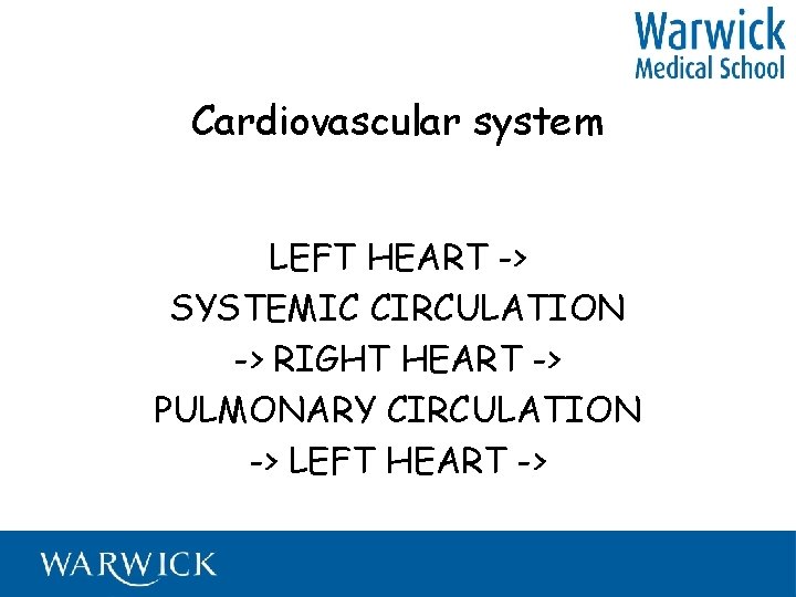 Cardiovascular system LEFT HEART -> SYSTEMIC CIRCULATION -> RIGHT HEART -> PULMONARY CIRCULATION ->