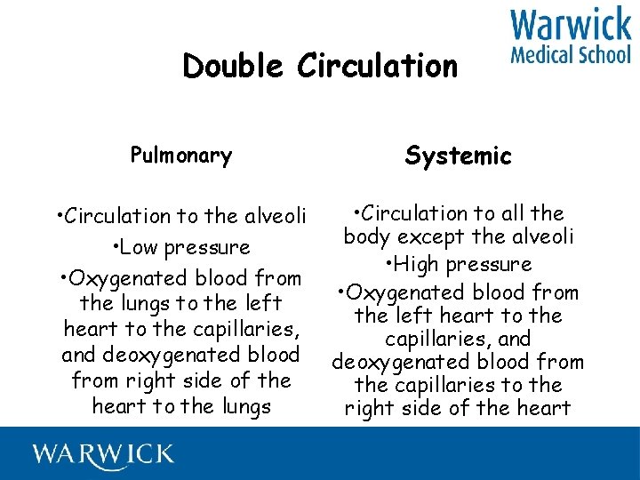 Double Circulation Pulmonary Systemic • Circulation to the alveoli • Low pressure • Oxygenated