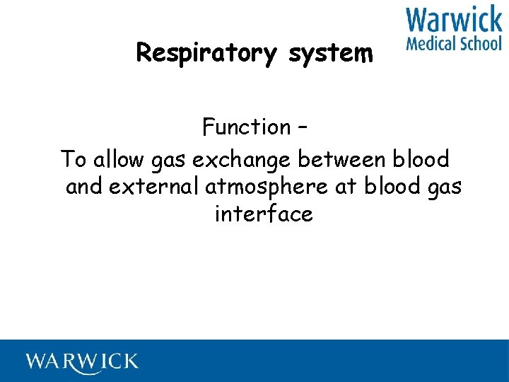 Respiratory system Function – To allow gas exchange between blood and external atmosphere at