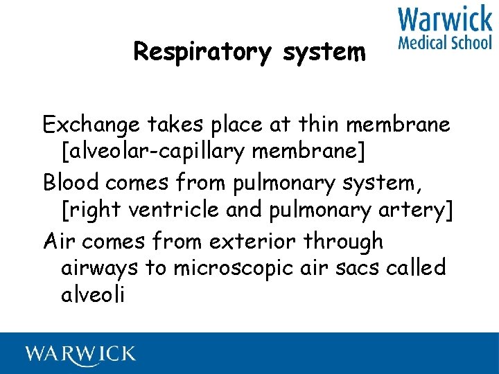 Respiratory system Exchange takes place at thin membrane [alveolar-capillary membrane] Blood comes from pulmonary