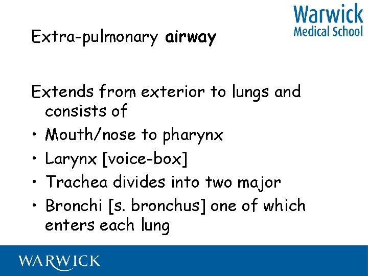 Extra-pulmonary airway Extends from exterior to lungs and consists of • Mouth/nose to pharynx