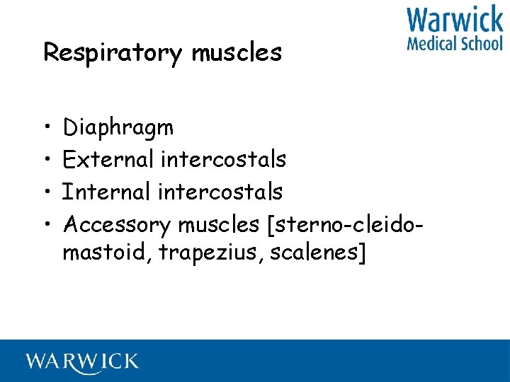 Respiratory muscles • • Diaphragm External intercostals Internal intercostals Accessory muscles [sterno-cleidomastoid, trapezius, scalenes]