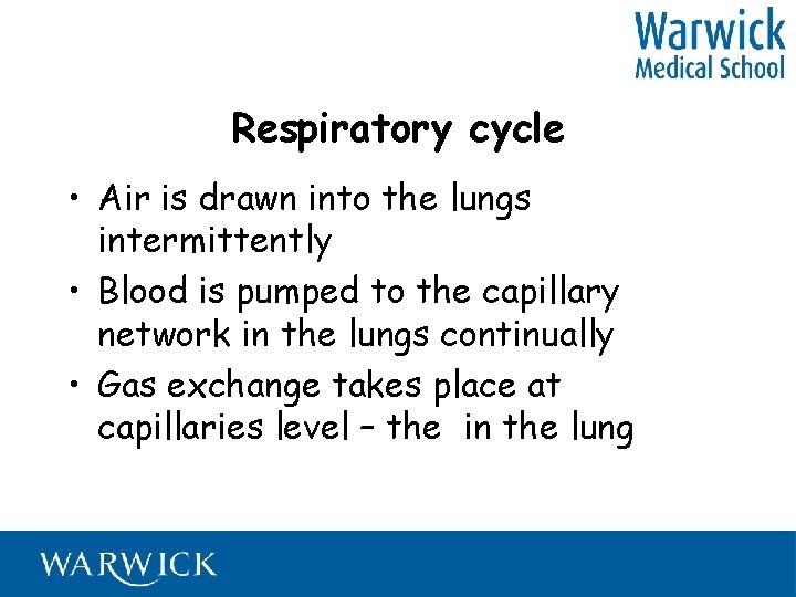 Respiratory cycle • Air is drawn into the lungs intermittently • Blood is pumped