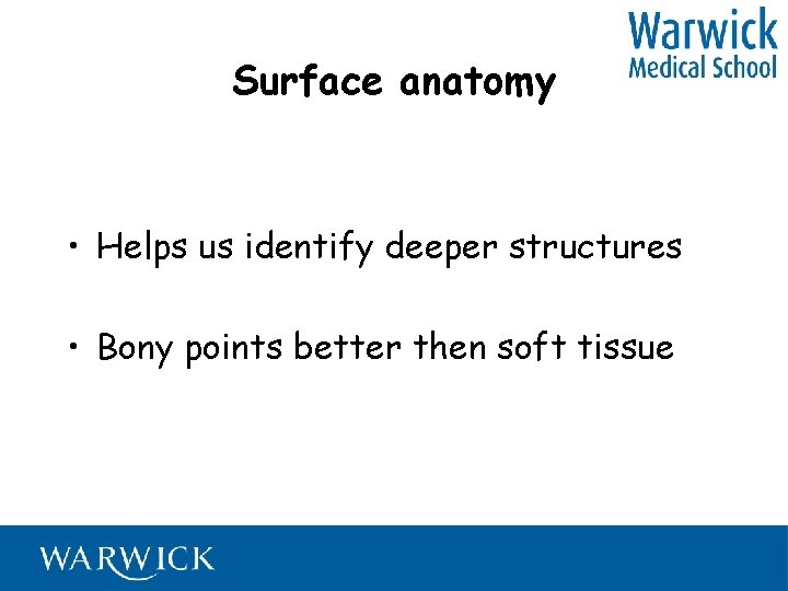 Surface anatomy • Helps us identify deeper structures • Bony points better then soft