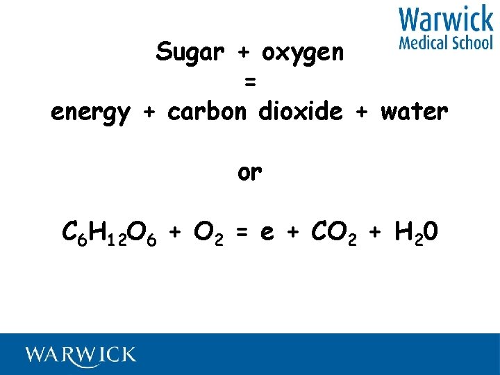 Sugar + oxygen = energy + carbon dioxide + water or C 6 H