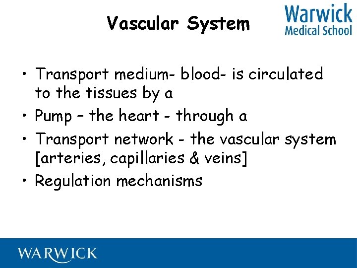 Vascular System • Transport medium- blood- is circulated to the tissues by a •