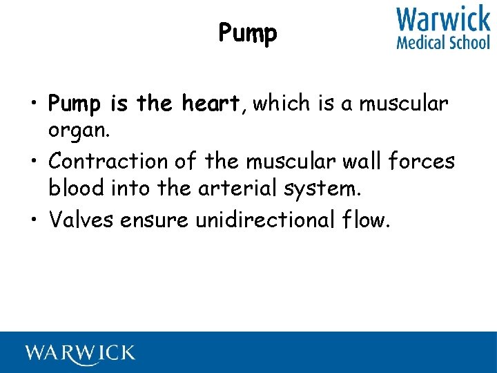 Pump • Pump is the heart, which is a muscular organ. • Contraction of