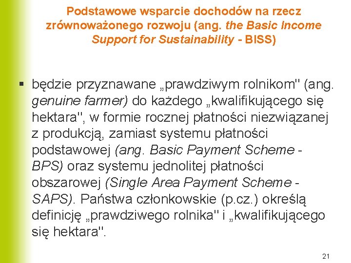 Podstawowe wsparcie dochodów na rzecz zrównoważonego rozwoju (ang. the Basic Income Support for Sustainability