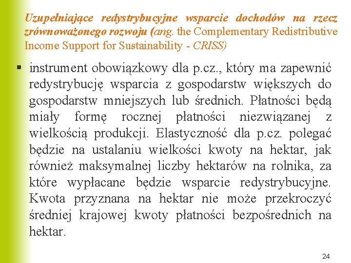 Uzupełniające redystrybucyjne wsparcie dochodów na rzecz zrównoważonego rozwoju (ang. the Complementary Redistributive Income Support