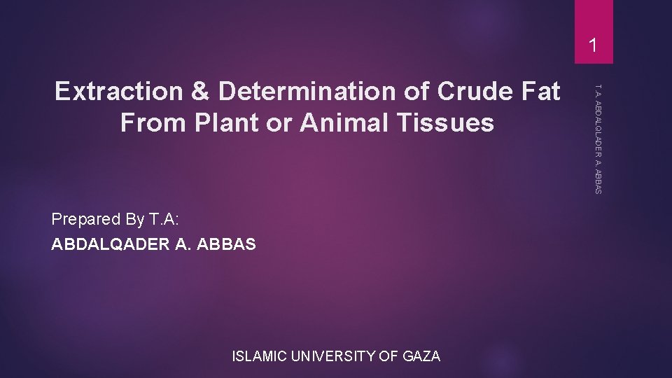 1 Prepared By T. A: ABDALQADER A. ABBAS ISLAMIC UNIVERSITY OF GAZA T. A.