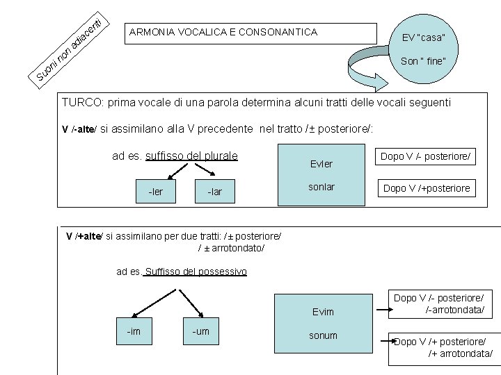 ti n ce ni o u n no a di ARMONIA VOCALICA E CONSONANTICA