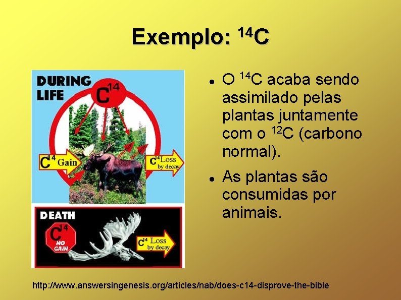 Exemplo: 14 C C O 14 C acaba sendo assimilado pelas plantas juntamente com