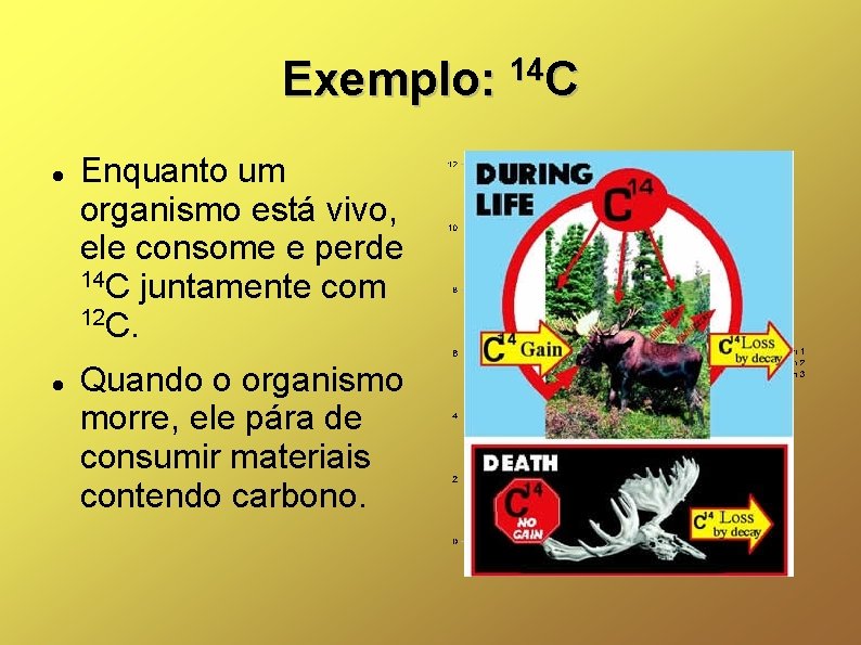 Exemplo: Enquanto um organismo está vivo, ele consome e perde 14 C juntamente com
