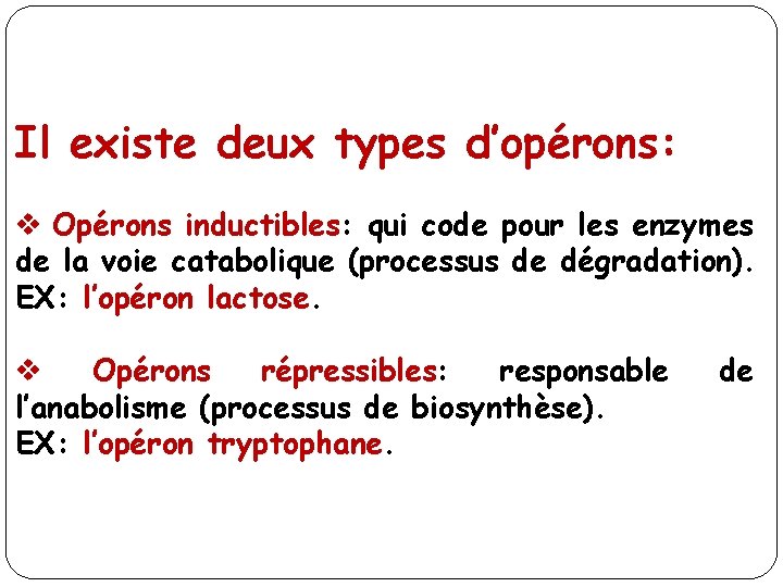 Il existe deux types d’opérons: v Opérons inductibles: qui code pour les enzymes de