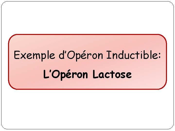 Exemple d’Opéron Inductible: L’Opéron Lactose 