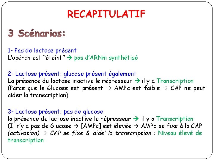RECAPITULATIF 1 - Pas de lactose présent L’opéron est “éteint” pas d’ARNm synthétisé 2