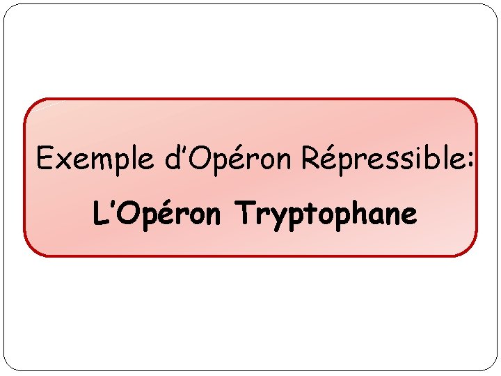 Exemple d’Opéron Répressible: L’Opéron Tryptophane 