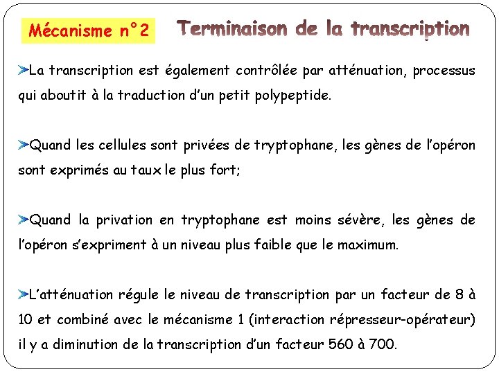 Mécanisme n° 2 La transcription est également contrôlée par atténuation, processus qui aboutit à